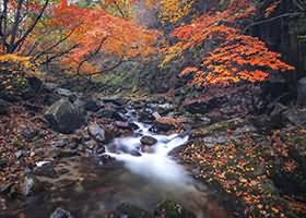 九图Jean美女写真合集打包下载96套 27GB